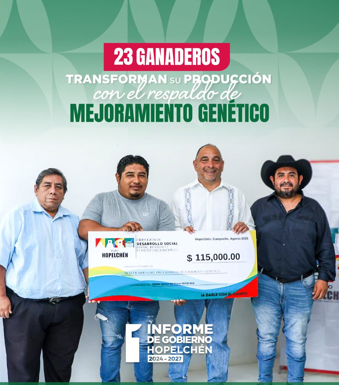 Imagen grande 2